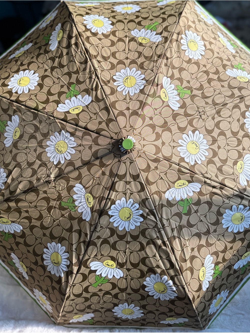 NWT ✨Rare Vintage Coach Signature C Daisy Umbrella (Green/Khaki)✨ - Picture 3 of 16